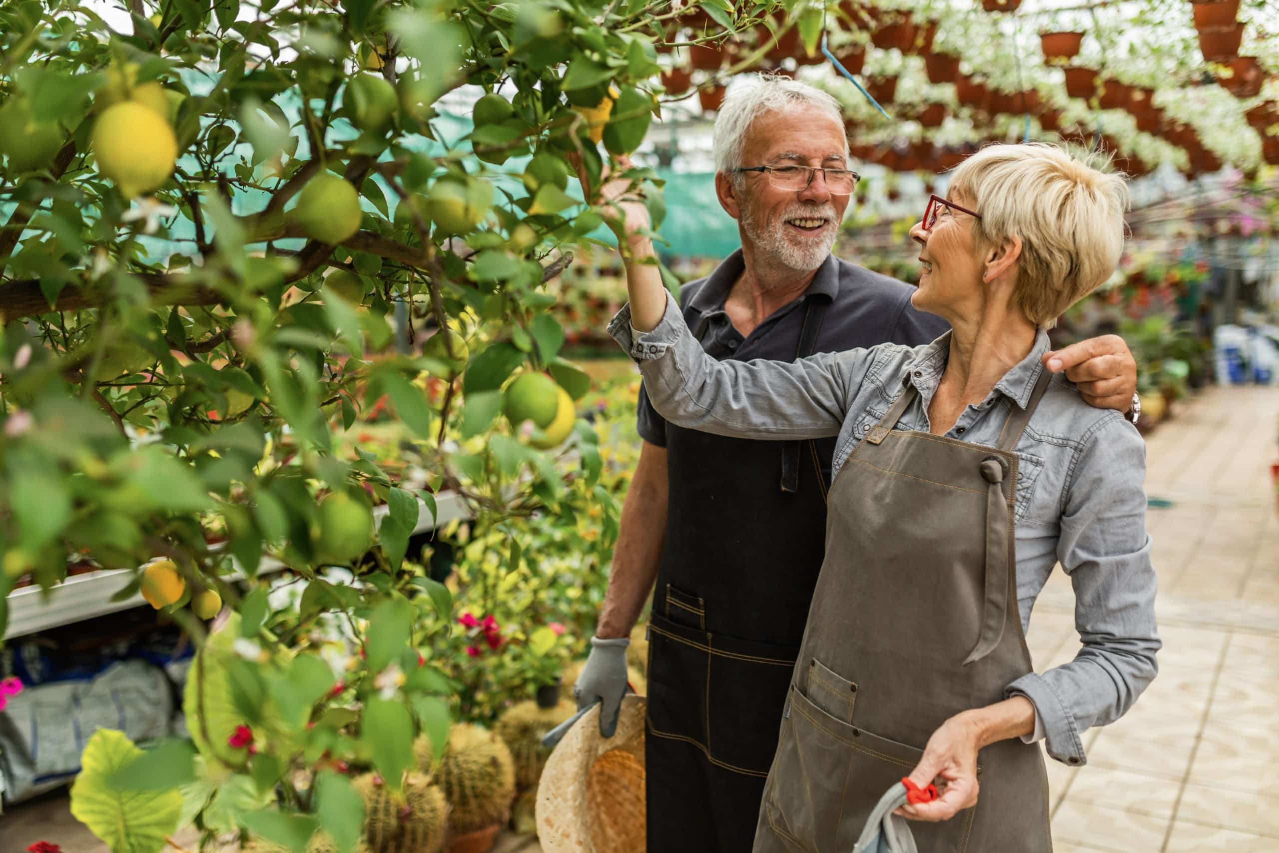happy-mature-greenhouse-owners-working-plant-nursery-communicating-by-lemon-tree-scaled