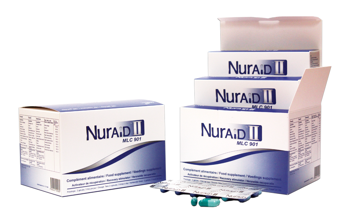 nuraid_05